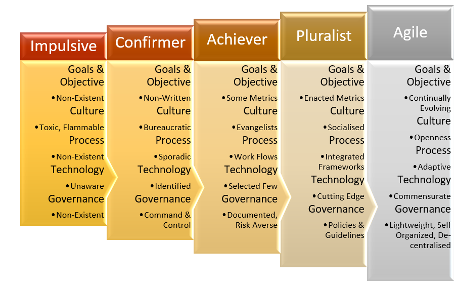 ICAXPA Organizational Maturity Model