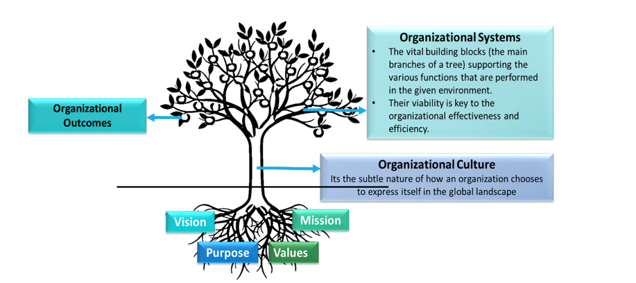 Organizational Transformation