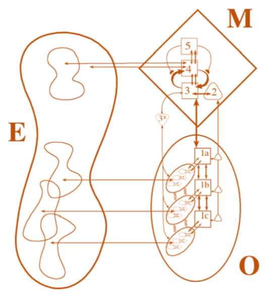 Viable Systems Model